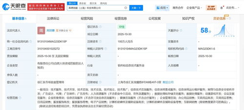 高德在上海成立銷服科技公司，注冊資本100萬，聚焦信息技術咨詢服務